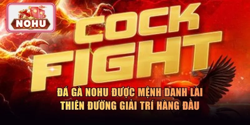 Đá gà NOHU được mệnh danh là thiên đường giải trí hàng đầu